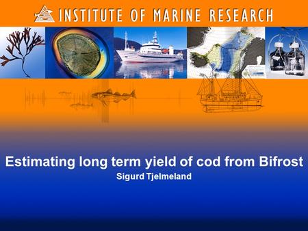 Estimating long term yield of cod from Bifrost Sigurd Tjelmeland.