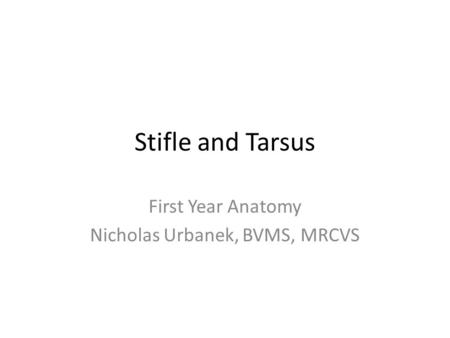 First Year Anatomy Nicholas Urbanek, BVMS, MRCVS