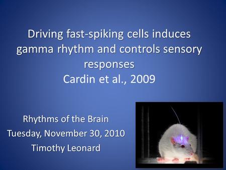 Driving fast-spiking cells induces gamma rhythm and controls sensory responses Driving fast-spiking cells induces gamma rhythm and controls sensory responses.