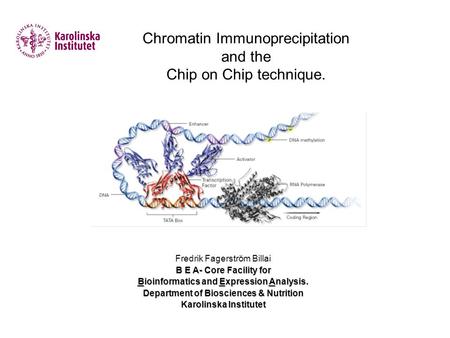 Chromatin Immunoprecipitation and the Chip on Chip technique. Fredrik Fagerström Billai B E A- Core Facility for Bioinformatics and Expression Analysis.
