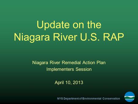 NYS Department of Environmental Conservation Update on the Niagara River U.S. RAP Niagara River Remedial Action Plan Implementers Session April 10, 2013.