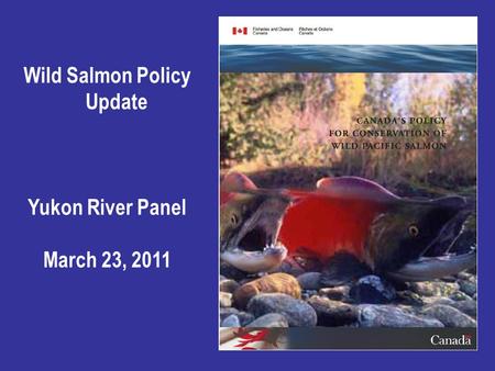 Wild Salmon Policy Update Yukon River Panel March 23, 2011.