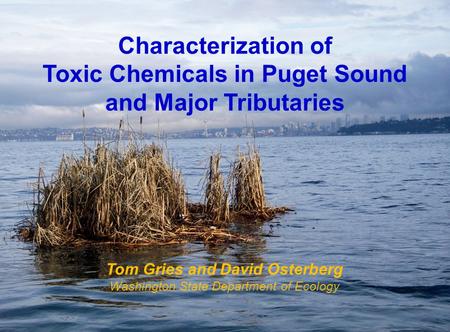 Characterization of Toxic Chemicals in Puget Sound and Major Tributaries Tom Gries and David Osterberg Washington State Department of Ecology.