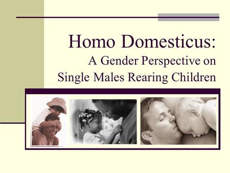Homo Domesticus: A Gender Perspective on Single Males Rearing Children.