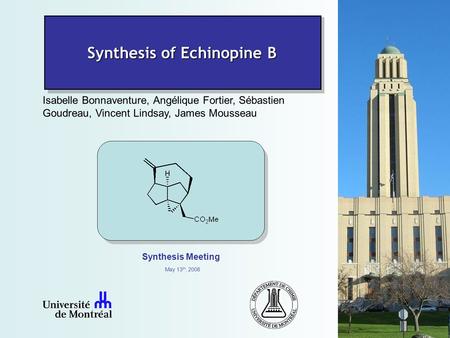 Isabelle Bonnaventure, Angélique Fortier, Sébastien Goudreau, Vincent Lindsay, James Mousseau Synthesis Meeting Synthesis of Echinopine B May 13 th, 2008.