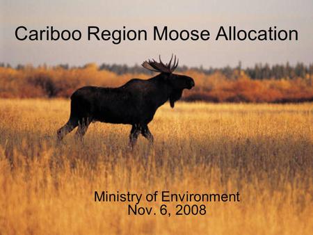 Cariboo Region Moose Allocation Ministry of Environment Nov. 6, 2008.