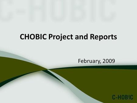 1 CHOBIC Project and Reports February, 2009. 2 Outline C-HOBIC project Reports Utilization of Reports.