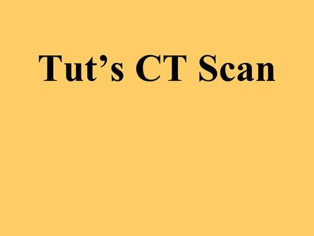 Tut’s CT Scan. A top team of the SCA archaeologists, experts in restoration and conservation and radiologists, headed by myself came together to examine.