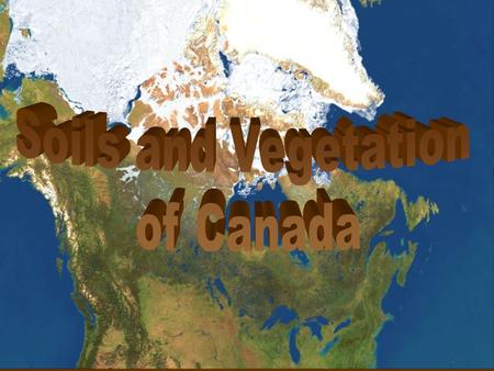 Soils and Vegetation of Canada.