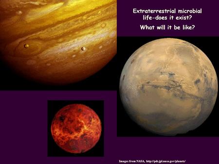 Extremophiles Images from NASA,  Extraterrestrial microbial life-does it exist? What will it be like?