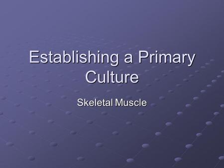 Establishing a Primary Culture Skeletal Muscle. Muscle regeneration in vivo - likeness to formation of myotubes in culture. Haematoxylin and Eosin stained.