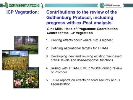 ICP VEGETATION 1.Proving effects occur where flux is highest 2.Defining aspirational targets for TFIAM 3.Developing new and revising existing flux-based.