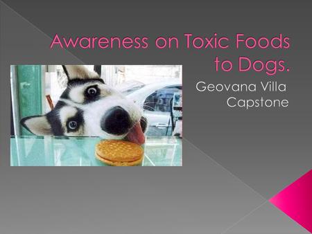  Hello my name is Geovana Villa I am a senior at Carl Wunsche Sr. High School in the Veterinary Science pathway.  I chose this topic to help bring awareness.