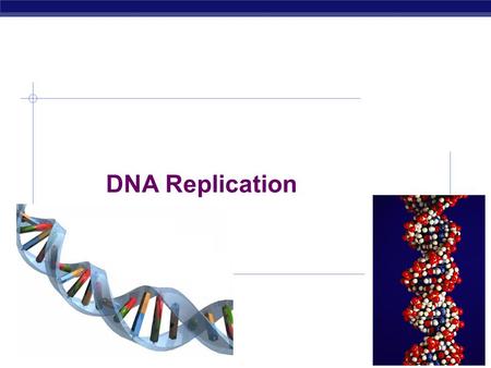 AP Biology 2007-2008 DNA Replication AP Biology Double helix structure of DNA “It has not escaped our notice that the specific pairing we have postulated.