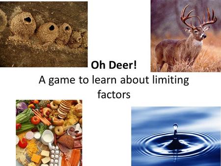 Oh Deer! A game to learn about limiting factors