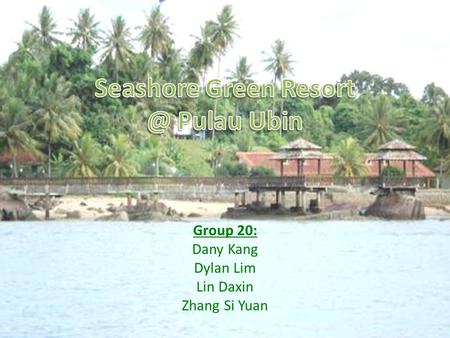 Group 20: Dany Kang Dylan Lim Lin Daxin Zhang Si Yuan.