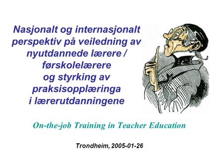 Nasjonalt og internasjonalt perspektiv på veiledning av nyutdannede lærere / førskolelærere og styrking av praksisopplæringa i lærerutdanningene On-the-job.