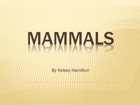 By Kelsey Hamilton.  Mammals are the only living organisms to have hair or fur. This helps to keep the mammal warm.  All mammals have four-chambered.