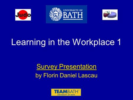 Learning in the Workplace 1 Survey Presentation by Florin Daniel Lascau.