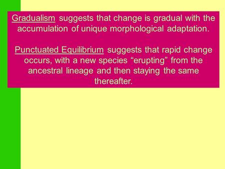 Gradualism suggests that change is gradual with the accumulation of unique morphological adaptation. Punctuated Equilibrium suggests that rapid change.