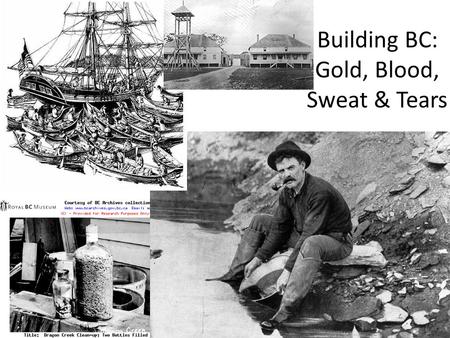 Building BC: Gold, Blood, Sweat & Tears. James Cook – to HBC Fur Trade James Cook in 1778 visited the coast. Cook's men had traded for sea otter pelts.