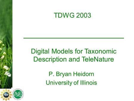 TDWG 2003 P. Bryan Heidorn University of Illinois Digital Models for Taxonomic Description and TeleNature.