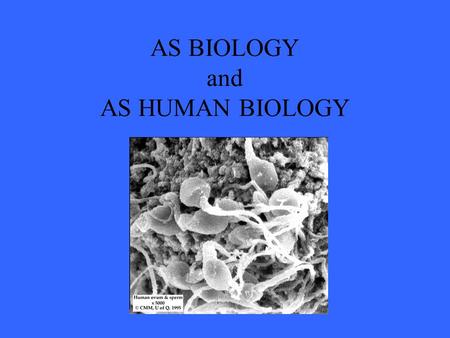 AS BIOLOGY and AS HUMAN BIOLOGY. How is the course structured? AS BIOLOGY and AS HUMAN BIOLOGY  Unit 1 – molecules and cells  Unit 2 – exchange, transport.