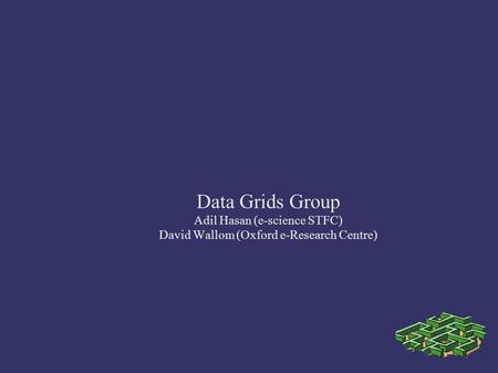 Data Grids Group Adil Hasan (e-science STFC)‏ David Wallom (Oxford e-Research Centre)‏