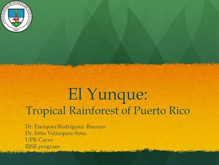 El Yunque: Tropical Rainforest of Puerto Rico Dr. Enríquez Rodríguez- Borrero Dr. Félix Velázquez-Soto, UPR-Cayey RISE program.