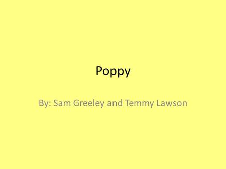 Poppy By: Sam Greeley and Temmy Lawson. Background Information The reason we are studying Phages is because they can be used in the medical field as antibiotics.