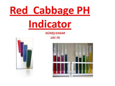 Red Cabbage PH Indicator