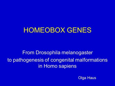 HOMEOBOX GENES From Drosophila melanogaster