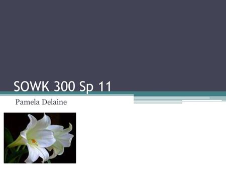 SOWK 300 Sp 11 Pamela Delaine What have I learned… How to use SPSS Make a survey How to use chart and tables correctly How to make a professional report.