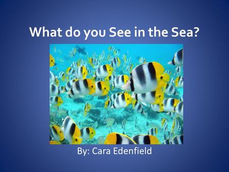 What do you See in the Sea? By: Cara Edenfield. What do you See in the Sea? Do you see fish in the sea?