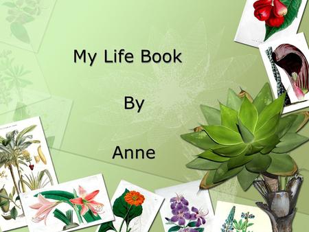 My Life Book By Anne By Anne. My Name is Anne and I live in Quarriers Village Bridge of Weir.