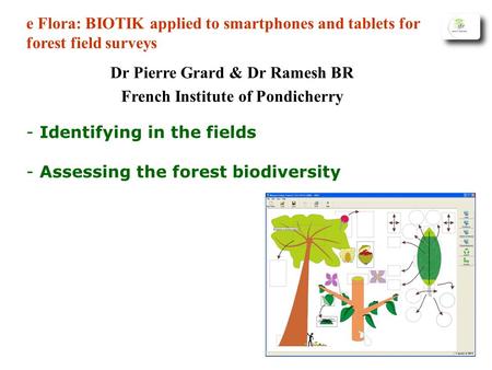 - Identifying in the fields - Assessing the forest biodiversity e Flora: BIOTIK applied to smartphones and tablets for forest field surveys Dr Pierre Grard.