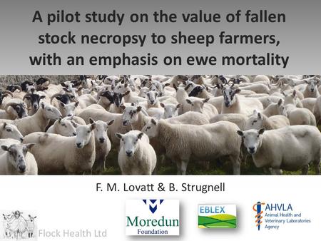 A pilot study on the value of fallen stock necropsy to sheep farmers, with an emphasis on ewe mortality F. M. Lovatt & B. Strugnell Flock Health Ltd.