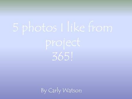 5 photos I like from project 365! By Carly Watson.