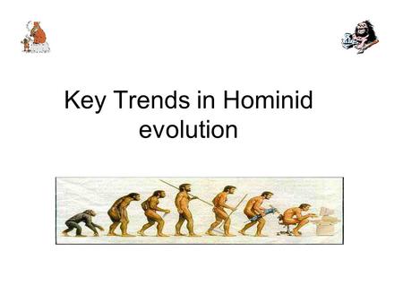 Key Trends in Hominid evolution
