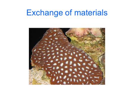 Exchange of materials. Cells exchange matter and energy In: Oxygen Nutrients eg glucose (carbon dioxide and light energy in plants) Water Ions Out: Carbon.