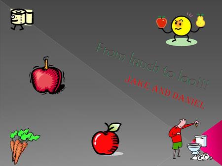  First the apple goes in your mouth, then it is chewed into tiny pieces mixed with saliva(spit).
