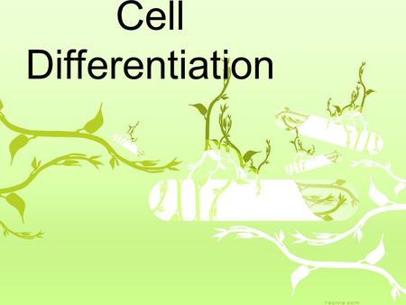 Cell Differentiation.