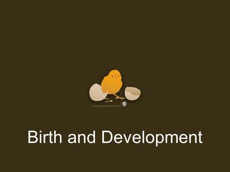 Birth and Development.