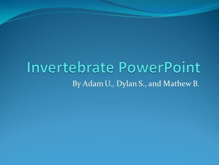 Invertebrate PowerPoint