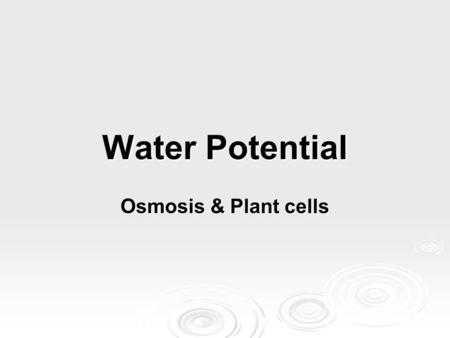 Water Potential Osmosis & Plant cells. Plants & water potential  Plants can use the potential energy in water to perform work.  Tomato plant regains.