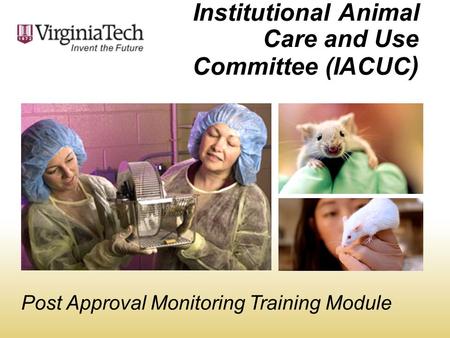Institutional Animal Care and Use Committee (IACUC)