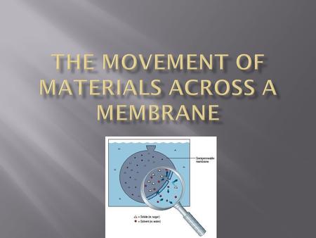 THE MOVEMENT OF MATERIALS ACROSS A MEMBRANE