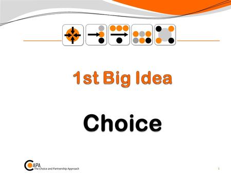 1. Choice p 46-57 Choice philosophy: throughout the whole service – Choice and Partnership Choice appointments: first contact with the service 2.