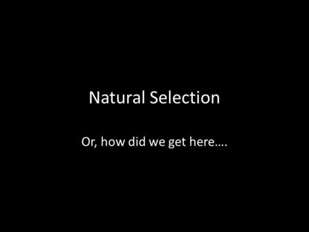 Natural Selection Or, how did we get here….. Natural Selection The Theory of Natural Selection is so simple that anyone can misunderstand it…. (Anonymous)