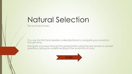 Natural Selection The survival of man. You are the first land dweller, make decisions to navigate your evolution though time. Navigate your way through.